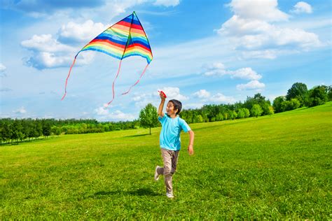 Happy Boy Run With Kite First Class Lawn Care Llc Harrisonburg Va