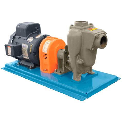 Dultmeier Sales Self Priming Centrifugal Pump Motor Unit Cast Iron