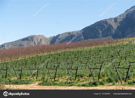 Stunning Tulbagh in South Africa — Stock Photo © danedwards #167282556