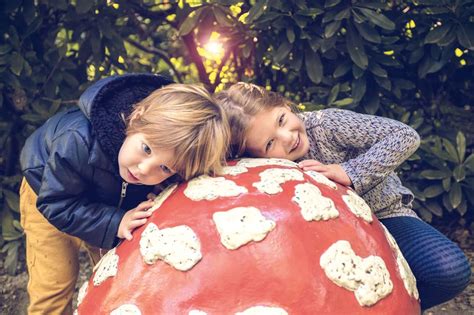 Vakantiepark Bij De Efteling Slechts 259 Euro Pretparkreizen