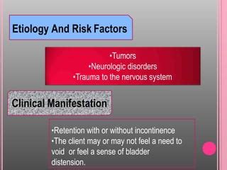 Neurogenic bladder | PPT