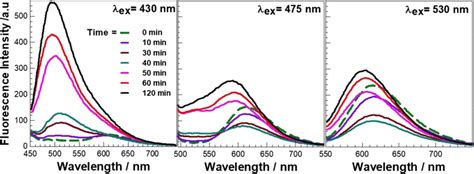 Time Dependent Fluorescence Spectra Of The Formation Of Fluorescent