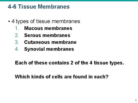 4 6 Tissue Membranes 4 Types Of Tissue