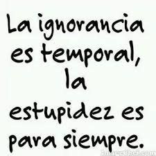 60 Best Gente Ignorante Ideas Quotes Words Life Quotes