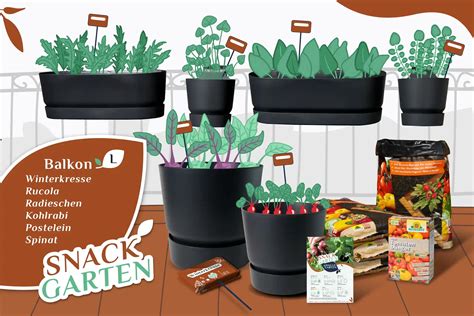 Snack Garten mit Gefäßen Hallo Garten Pflanz Menü