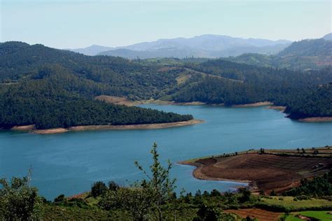 5 Beautiful Lakes In Ooty Apart From Ooty Lake Blog