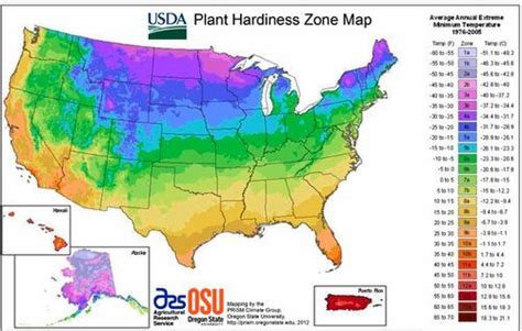 Ta Da Welcome To 6a Garden Rant Plant Hardiness Zone Map Plant