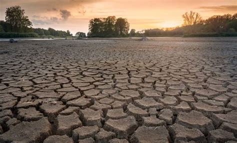 Las Causas Y Las Consecuencias De La Sequía Ecotrendies