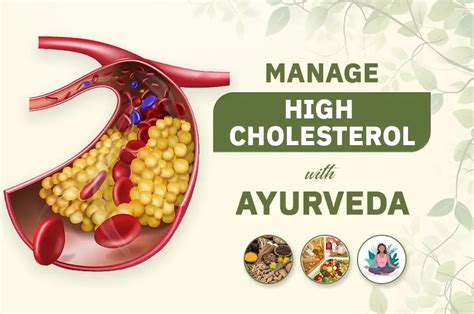 How To Manage High Cholesterol Through Ayurveda Herbs Diet And More