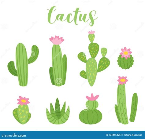 Ejemplo Lindo Del Vector Del Cactus Ilustración Del Vector