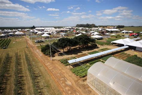 Agrobras Lia Edi O Da Maior Feira De Agroneg Cio Come A Nesta