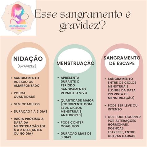Diferença Entre Menstruação E Nidação - Nidação | Nidação, Mestruação, Menstruação