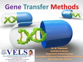 Gene transfer methods .ppt