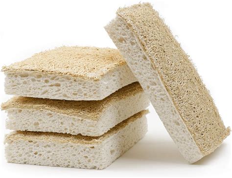 Amazon Ecordinary Eco Friendly Natural Sponge For Zero Waste