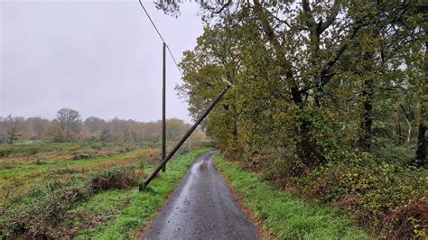 Temp Te Caetano Arbres Sur La Route Fils Lectriques Arrach S