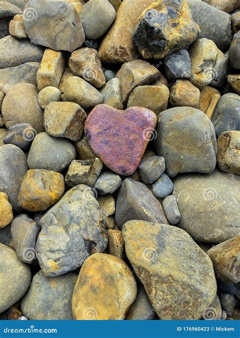 Heart Shaped Rock On Pile Of Pebble Rocks Imagen De Archivo Imagen De Marido Amante 176960423