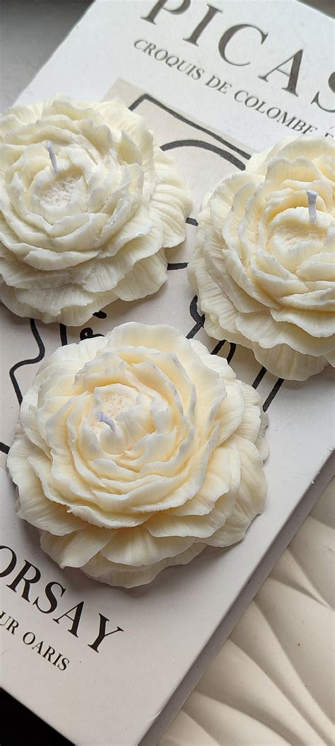 Candle viral insta reel - Sónia Pimentel Lima | Hotmart