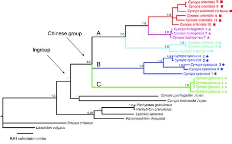 Bayesian Inference BI Tree Based On ND2 And Flanking TRNA Sequences