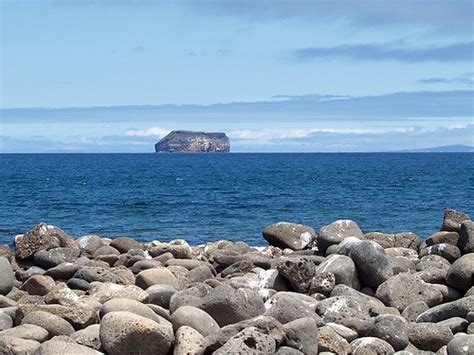 Galapagos Galapagos Islands Easter Island