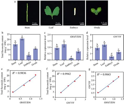 Flavonoid Related Gene Expression And Flavonoid Contents In Different