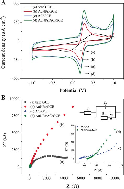 A Cyclic Voltammograms Of 5 Mm Fecn6 3−4− In 01 M Kcl At Bare Download Scientific