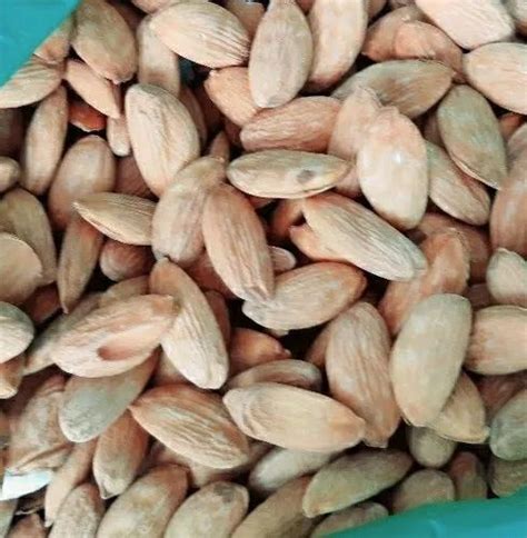 Mamra Almonds At Rs Kg Mamra Badam In Pulwama Id