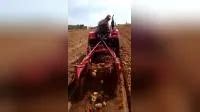 Tractor Mounted Point Machines Pto Driven One Row Sweet Potato