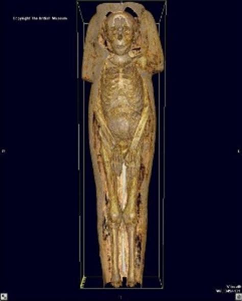 Ct Scans Unwrap Secrets Of British Museum S Egyptian Mummies