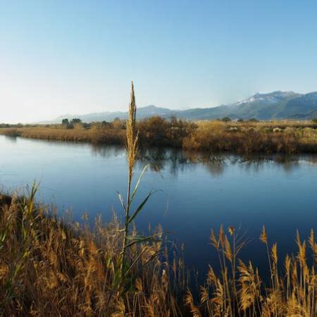 La Réserve Naturelle de l Etang de Biguglia