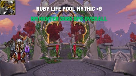 Bm Hunter K Dps Overall Mythic Ruby Life Pool