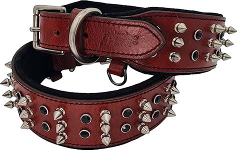 The Best Dog Spike Collars For Tough, Stylish Pets - Dogtime