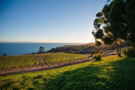 Beautiful Venue With Vineyards Overlooking The Ocean Via