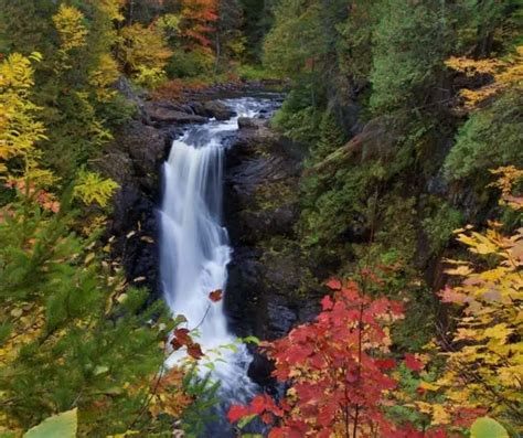 Maine Fall Foliage- 13 Spots to Enjoy Fall Colors in Maine