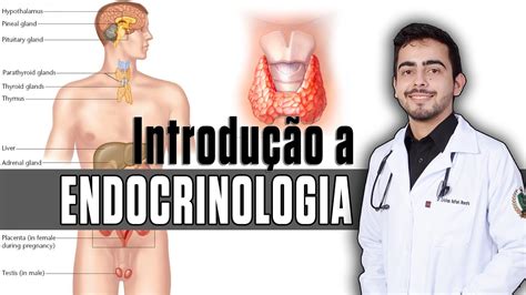 Introdução a Endocrinologia Fisiopatologia Fisiologia GUYTON