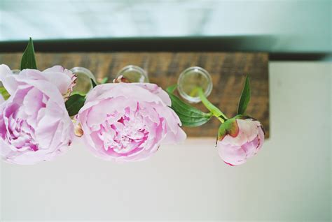 Glass Flower Vase From Test Tube And Reclaimed Wood