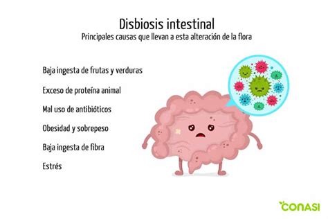 Qu Es La Disbiosis Intestinal Causas Tipos Y C Mo Evitarla