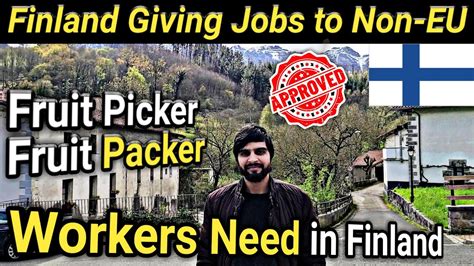 Fruit Picking And Packing Jobs No Ielts No Degree Finland