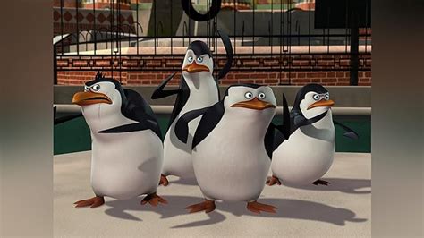 Watch The Penguins Of Madagascar Season Prime Video