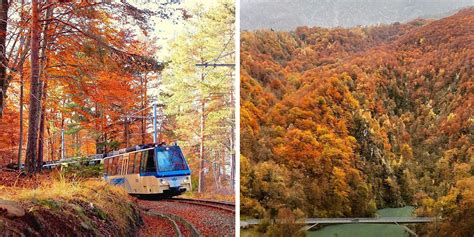 Treno Del Foliage In Italia Info E Prezzi Stagione Rdd