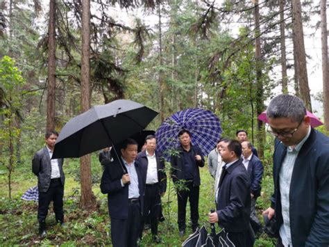 市委书记、市级总林长肖毅深入黎川县巡山 关注森林