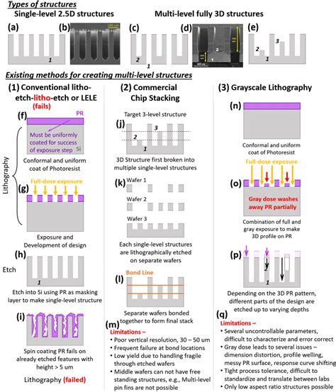 Two Types Of Structures 25d And 3d Ab Shows Single Level