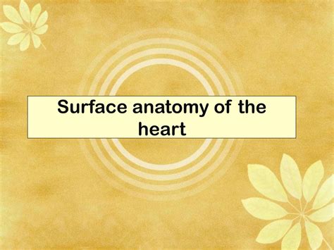 SOLUTION: 3 surface anatomy fibrous skeleton conducting system of the heart - Studypool