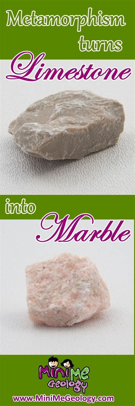 Pink Marble Metamorphic Rock Mini Me Geology Metamorphic Rocks