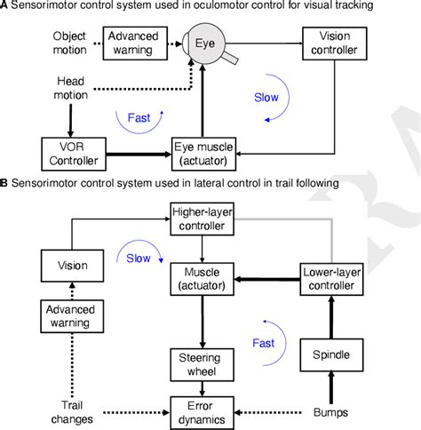 Figure From Diversity Enabled Sweet Spots In Layered Architectures