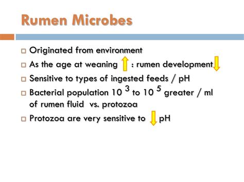 PPT - Rumen microbes PowerPoint Presentation, free download - ID:2316244