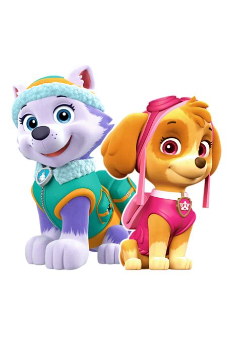 Patrulha Canina Paw Patrol Skye E Everest Png Anivers Rio Paw Patrol