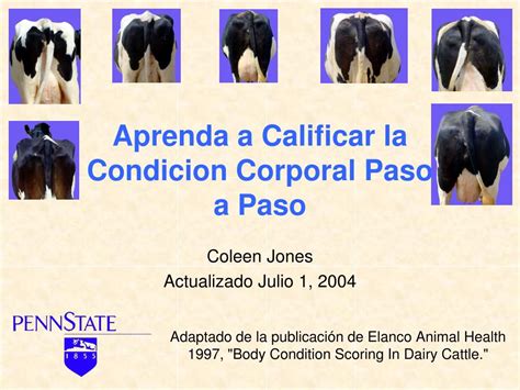 PPT Aprenda A Calificar La Condicion Corporal Paso A Paso PowerPoint