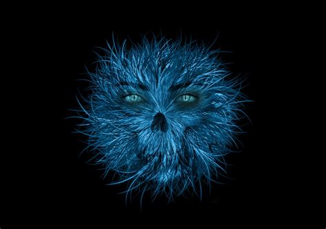 Download Monster, Blue, Eyes. Royalty-Free Stock Illustration Image ...