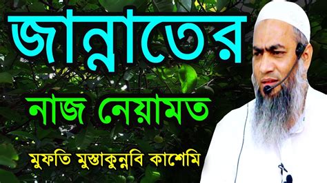 জান্নাতের নাজ নেয়ামত Allama Tv24 আল্লামা টিভি২৪ মুস্তাকুন্নবী