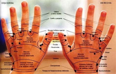 106 Best Reflexologia Acupresión Digitopuntura Masajes Images On Pinterest Massage